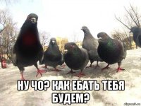  ну чо? как ебать тебя будем?