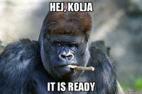 hej, kolja it is ready