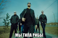  мы типа рибы