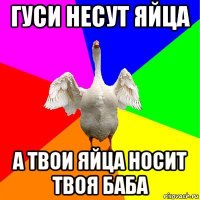гуси несут яйца а твои яйца носит твоя баба
