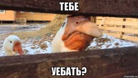 тебе уебать?