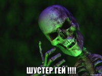  шустер гей !!!!