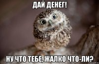 дай денег! ну что тебе, жалко что-ли?