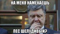 на меня намекаешь пес шелудивый?