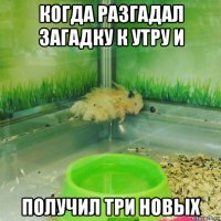 когда разгадал загадку к утру и получил три новых