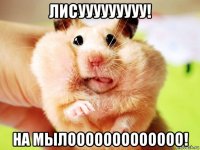 лисууууууууу! на мылооооооооооооо!