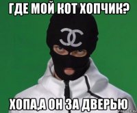 где мой кот хопчик? хопа,а он за дверью
