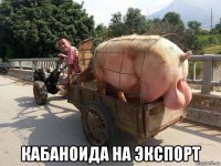  кабаноида на экспорт