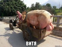  витя