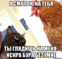 я смотрю на тебя ты глядишь на меня: искра буря безумие