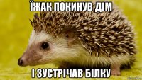 їжак покинув дім і зустрічав білку