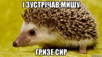 і зустрічав мишу гризе сир