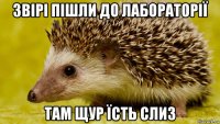 звірі пішли до лабораторії там щур їсть слиз
