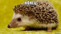 конец 