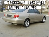 на таких туалетах ездят гандоны талдыка 