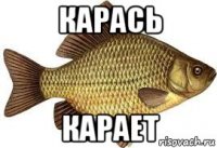 карась карает