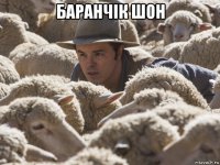 баранчік шон 