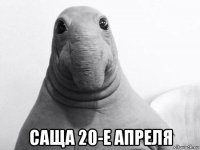  саща 20-е апреля