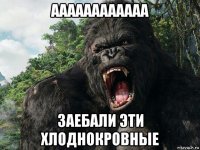 аааааааааааа заебали эти хлоднокровные