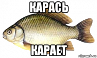 карась карает