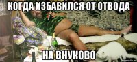 когда избавился от отвода на внуково