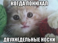 когда понюхал двухнедельные носки