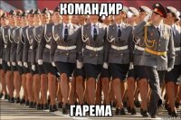 командир гарема