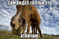 сам видел-голуби это атвичаю