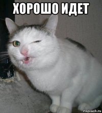 хорошо идет 