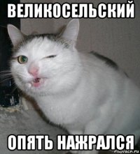 великосельский опять нажрался