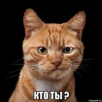  кто ты ?
