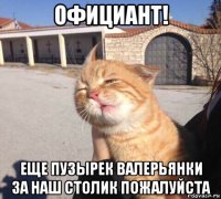 официант! еще пузырек валерьянки за наш столик пожалуйста