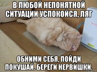 в любой непонятной ситуации успокойся, ляг обними себя, пойди покушай. береги нервишки.