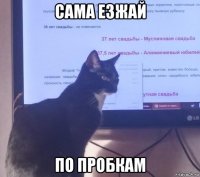 сама езжай по пробкам