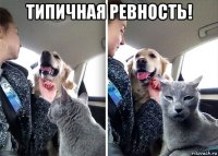 типичная ревность! 