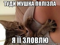 туди мушка полізла я її зловлю