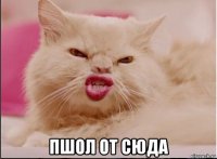  пшол от сюда