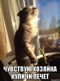  чувствую хозяйка куличи печет