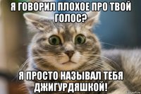 я говорил плохое про твой голос? я просто называл тебя джигурдяшкой!