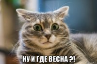  ну и где весна ?!