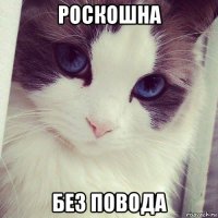 роскошна без повода