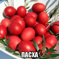  пасха