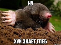 ну хуй знает,глеб