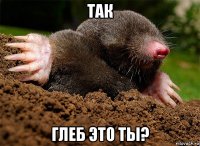 так глеб это ты?
