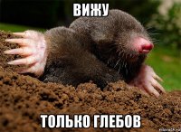 вижу только глебов