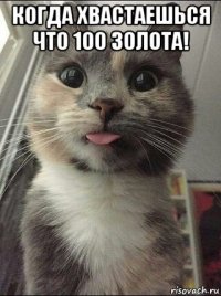 когда хвастаешься что 100 золота! 