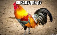кокадудльду 