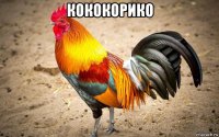 кококорико 