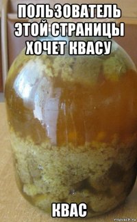 пользователь этой страницы хочет квасу квас