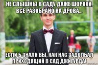 не слышны в саду даже шорохи, всё разобрано на дрова... если б знали вы, как нас задолбал приходящий в сад джигурда!